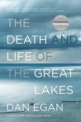 Book cover for The Death and Life of the Great Lakes