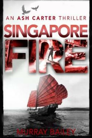 Cover of Singapore Fire