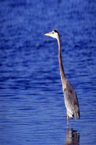 Cover of Journal Great Grey Heron Water