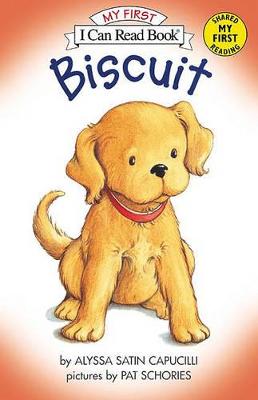 Book cover for Biscuit