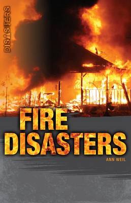 Book cover for Fire Disasters