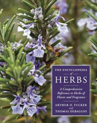 Book cover for Encyclopedia of Herbs