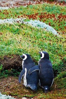 Book cover for Magellanic Penguin Friends Walking Away Journal