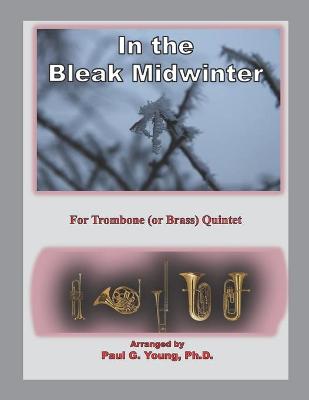 Book cover for In the Bleak Midwinter