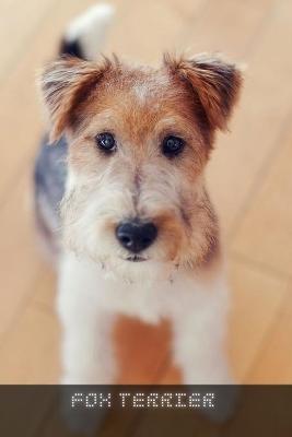 Book cover for Fox Terrier