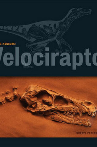 Cover of Velociraptor