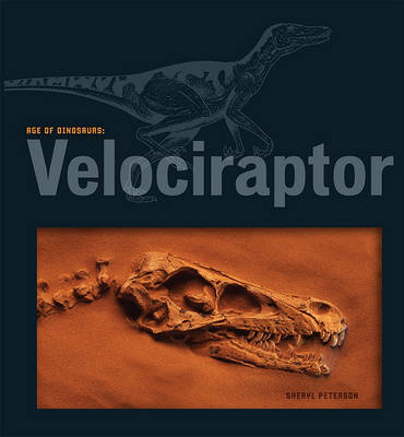 Book cover for Velociraptor