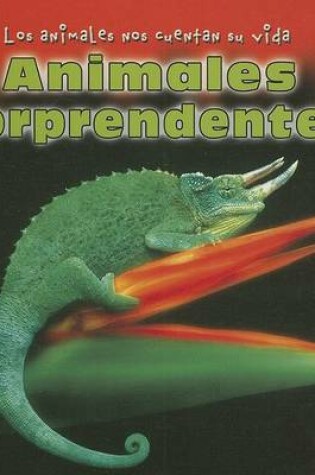 Cover of Animales Sorprendentes (Unusual Animals)
