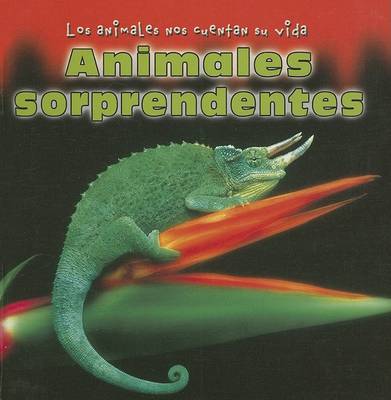 Book cover for Animales Sorprendentes (Unusual Animals)