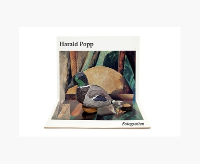 Book cover for Harald Popp: Fotografien