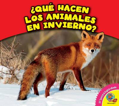 Book cover for Que Hacen Los Animales En Invierno?