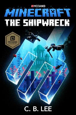 Cover of Minecraft: The Shipwreck