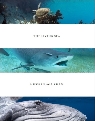 Book cover for Living Sea: Hussain Agha Khan