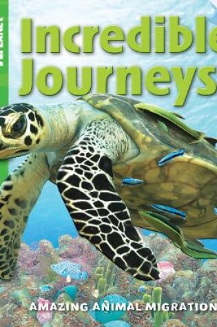 Cover of Incredible Journeys