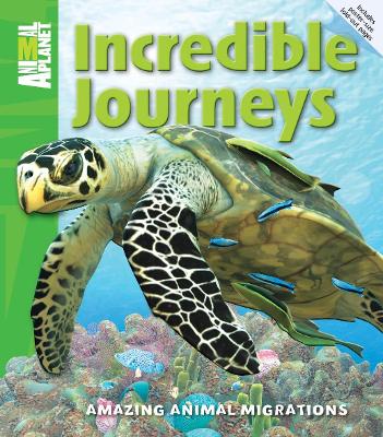 Book cover for Incredible Journeys