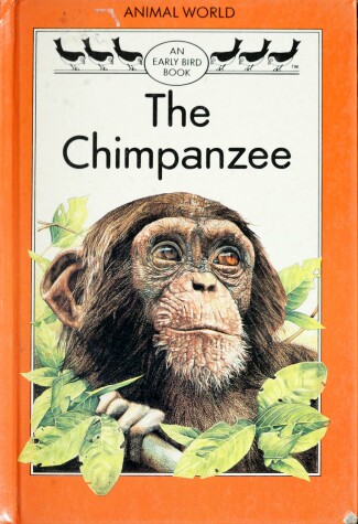 Book cover for The Chimpanzee