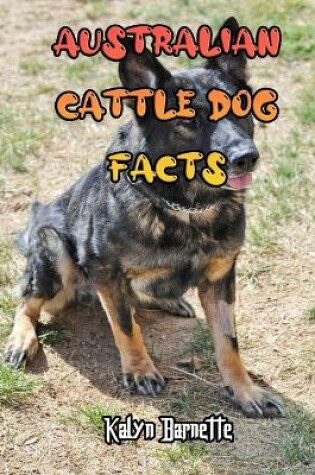 Cover of Australian Cattle Dog Facts