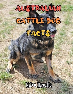 Book cover for Australian Cattle Dog Facts