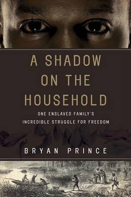 Book cover for A Shadow on the Household