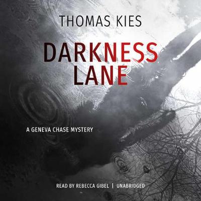Book cover for Darkness Lane