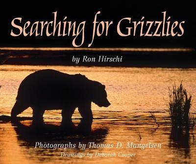 Book cover for Searching for Grizzlies