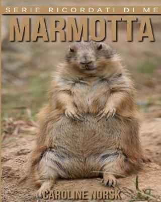 Book cover for Marmotta