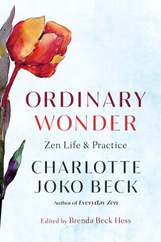 Cover of Ordinary Wonder