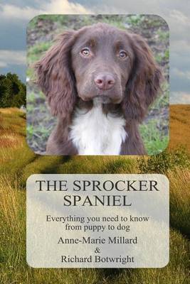 Book cover for The Sprocker Spaniel