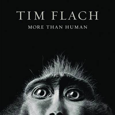 Book cover for More Than Human Uk Edition