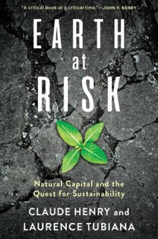 Cover of Earth at Risk