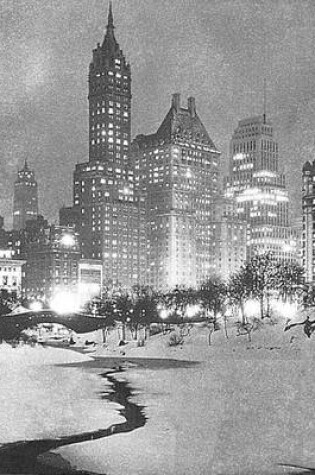 Cover of Central Park, Winter Boxed Holiday Full Notecards