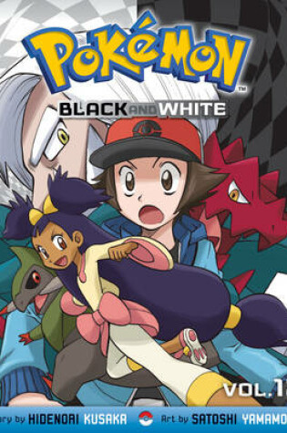 Cover of Pokémon Black and White, Vol. 12
