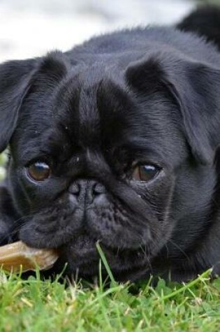 Cover of Super Cute Pug Puppy in the Grass Journal