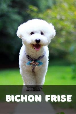 Book cover for Bichon Frise