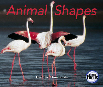 Book cover for Animal Shapes