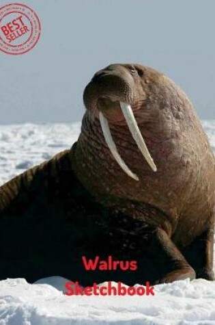 Cover of Walrus Sketchbook