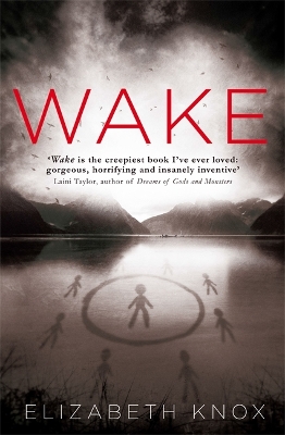 Book cover for Wake