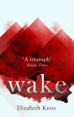 Book cover for Wake