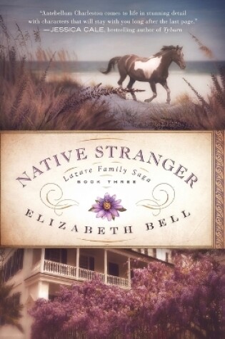 Cover of Native Stranger