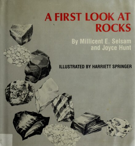 Cover of A First Look at Rocks