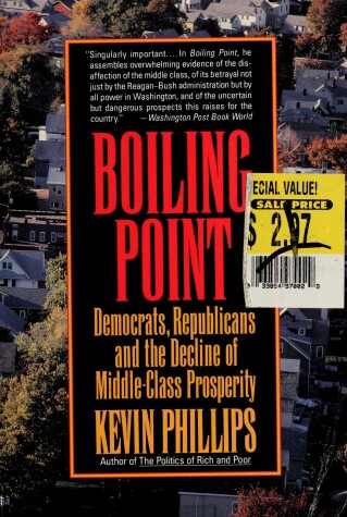 Book cover for Boiling Point