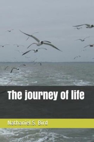 Cover of The journey of life