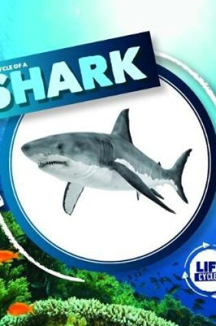 Cover of Life Cycle of a Shark