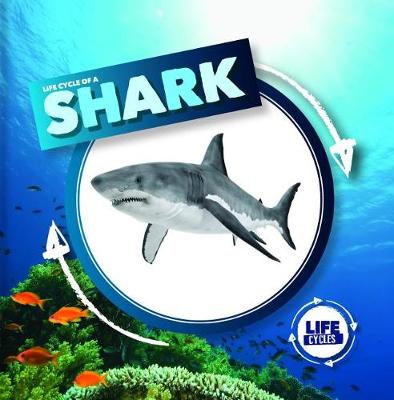 Book cover for Life Cycle of a Shark