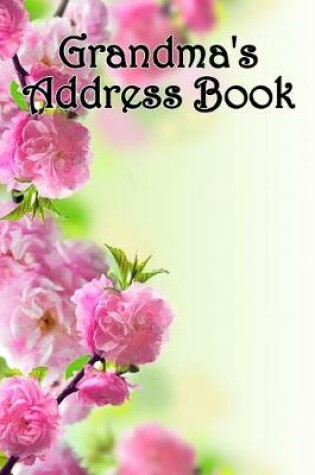 Cover of Grandma's Address Book
