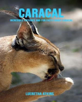 Book cover for Caracal