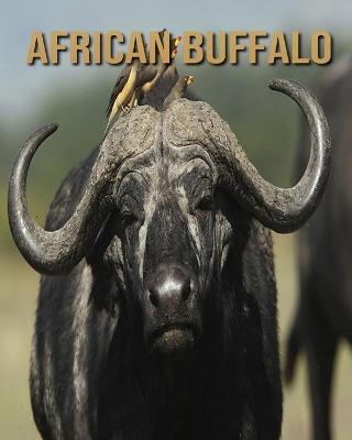 Book cover for African buffalo