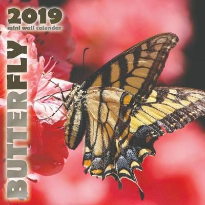 Book cover for Butterfly 2019 Mini Wall Calendar