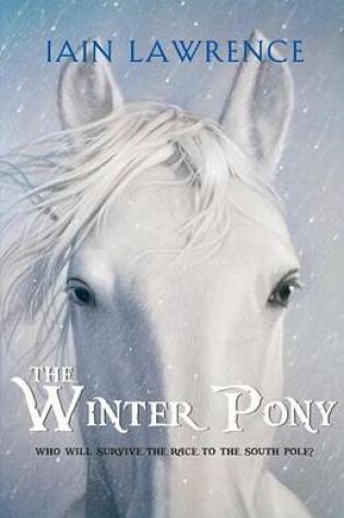 Cover of The Winter Pony