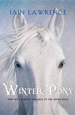 Book cover for The Winter Pony